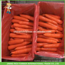 Especial New Crop Red Carrot